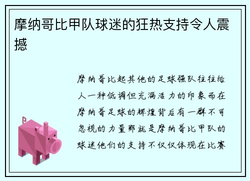 摩纳哥比甲队球迷的狂热支持令人震撼